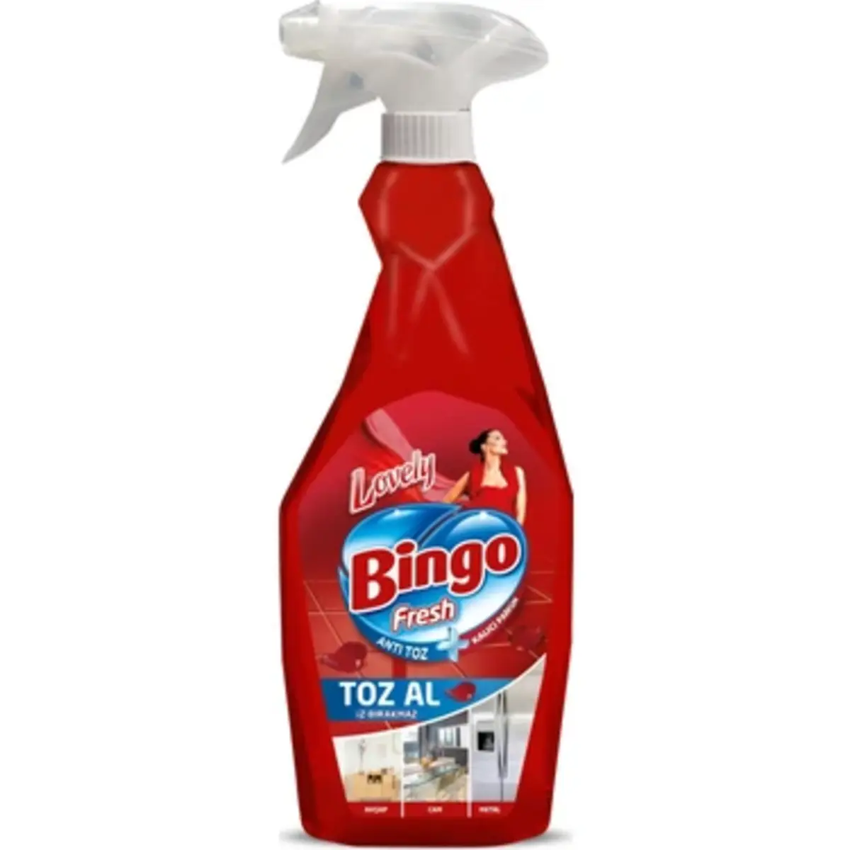 BİNGO TOZ AL SPREY 750ML
